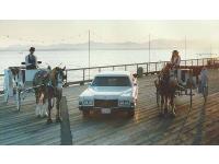 Sealth Horse Carriages